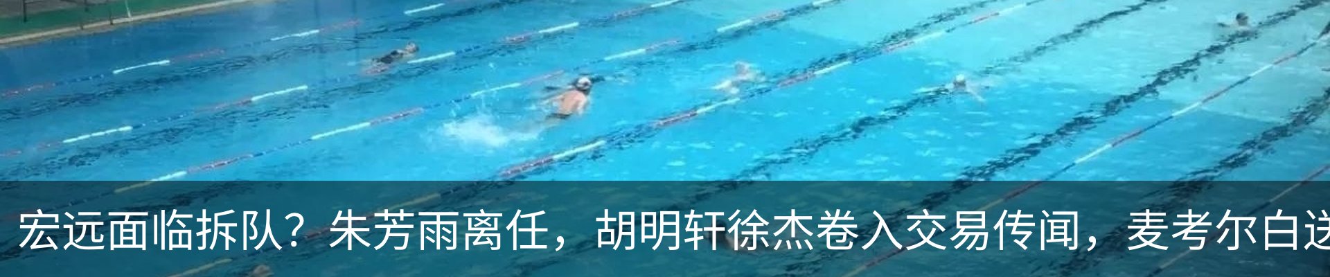 新闻动态