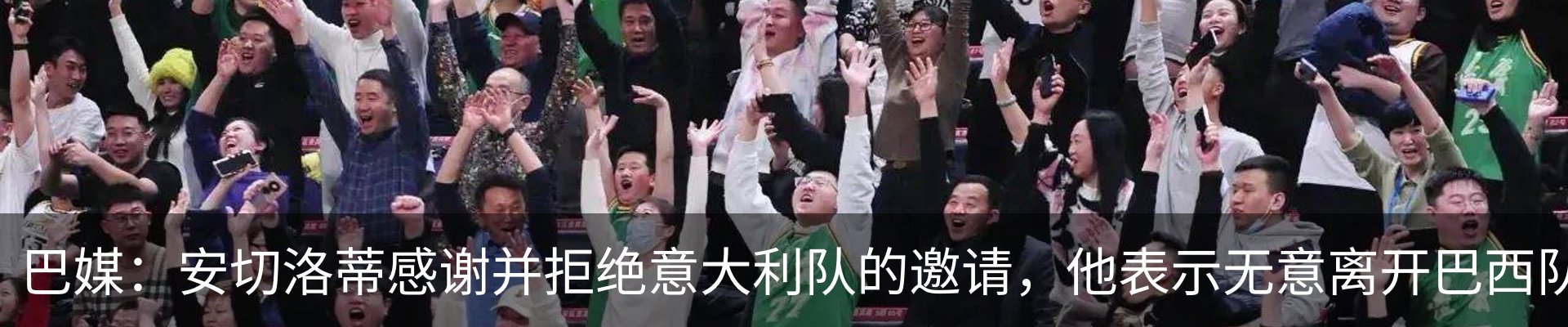 新闻动态