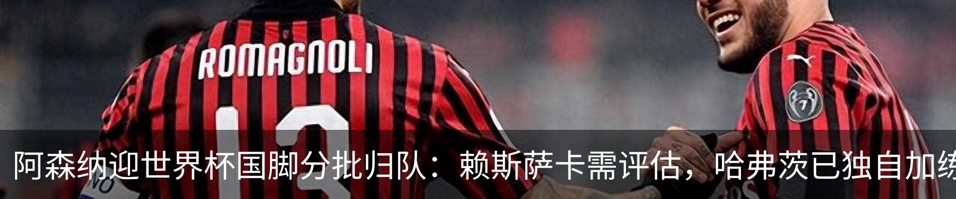 新闻动态