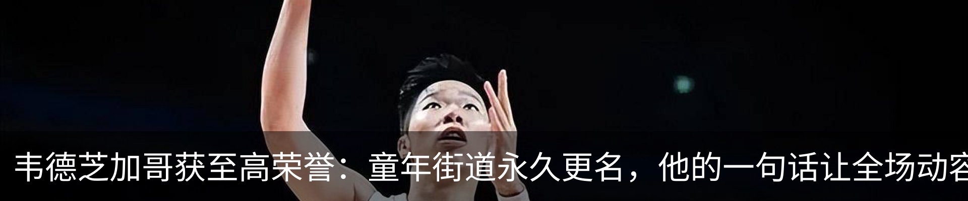 新闻动态