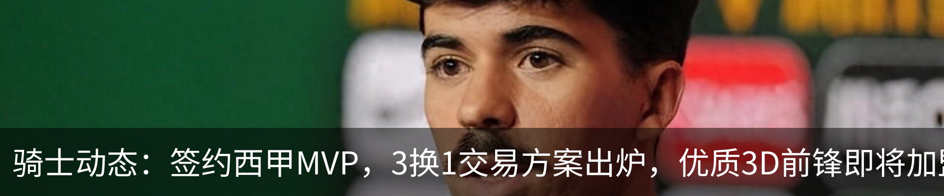 新闻动态