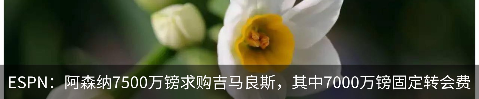 新闻动态